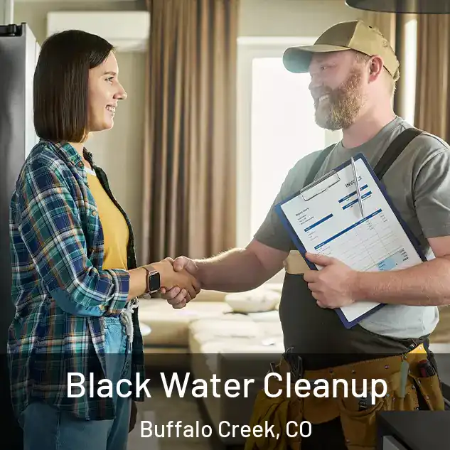  Black Water Cleanup Buffalo Creek, CO