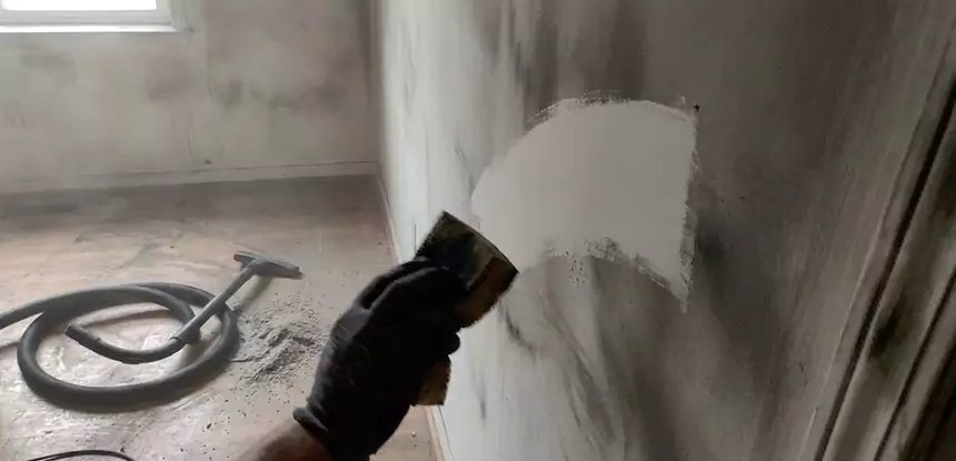 Professional Water and Fire Damage Restoration Services in Buffalo Creek, CO