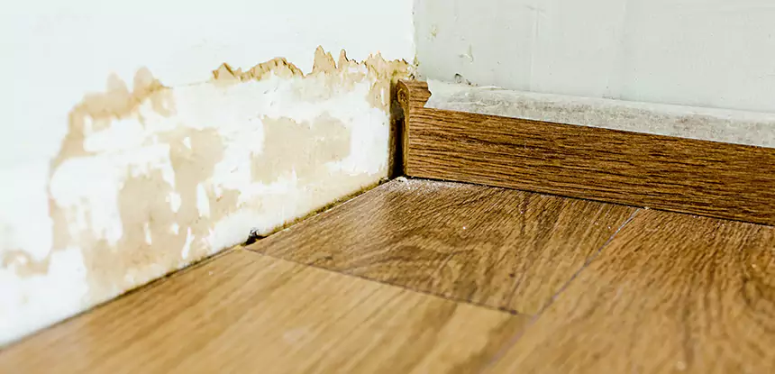 Professional Fix Water Damaged Wood Services in Buffalo Creek, CO