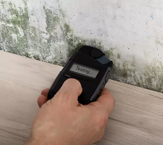 Mold Remediation Service Buffalo Creek